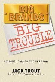 Big Brands Big Trouble: Lessons Learned the Hard Way (RARE BOOKS)
