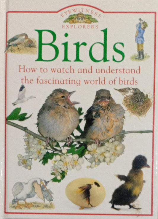 Birds (Eyewitness Explorers) [HARDCOVER]