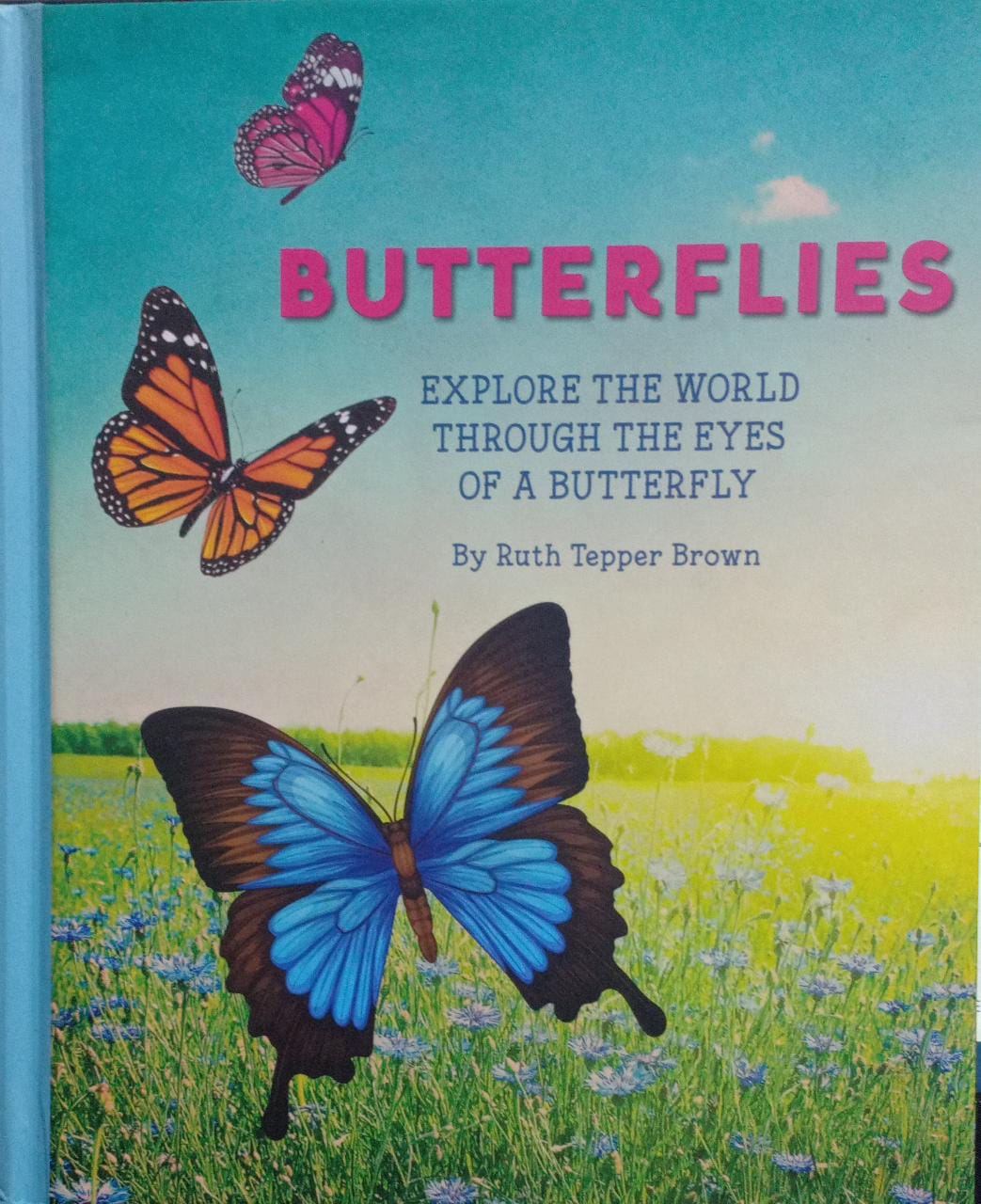 Butterflies [HARDCOVER]