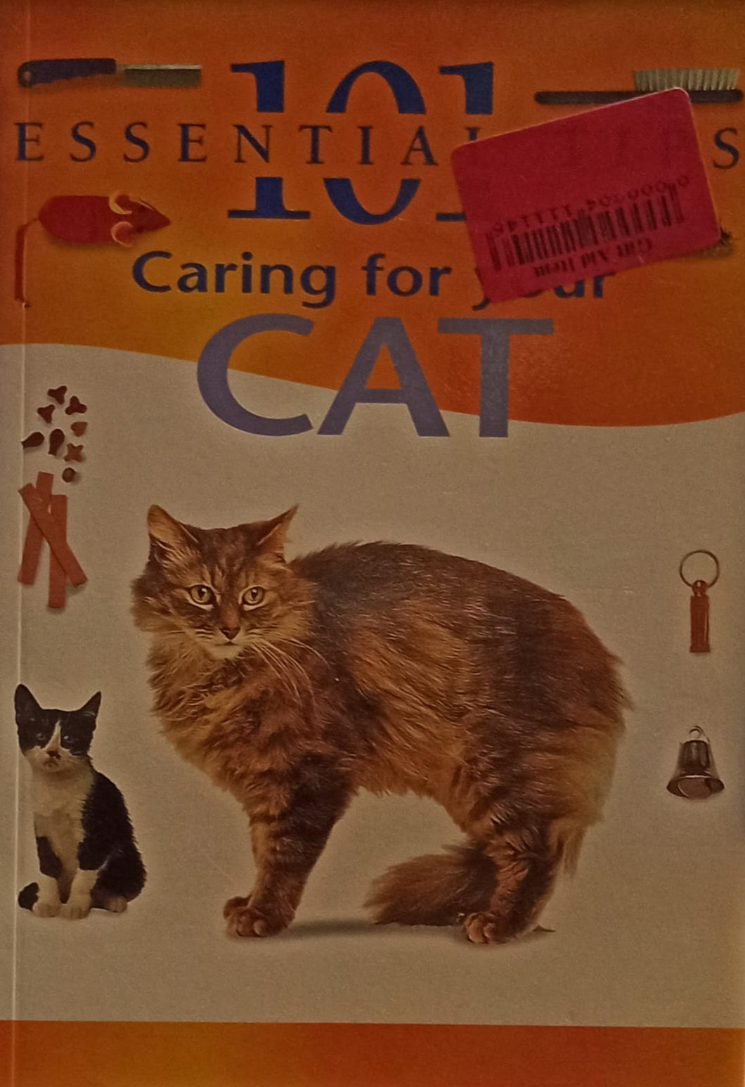 101 Essential Tip: Caring For Your Cat