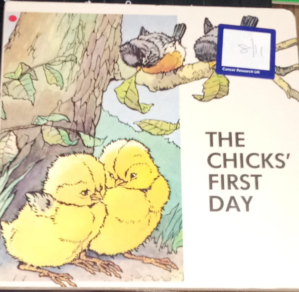 The Chicks' First Day Board Book
