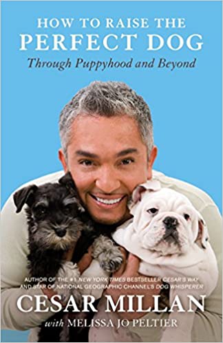 How to Raise the Perfect Dog (RARE BOOKS)