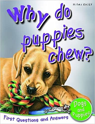 Dogs And Puppies: Why Do Puppies Chew? (First Questions And Answers)