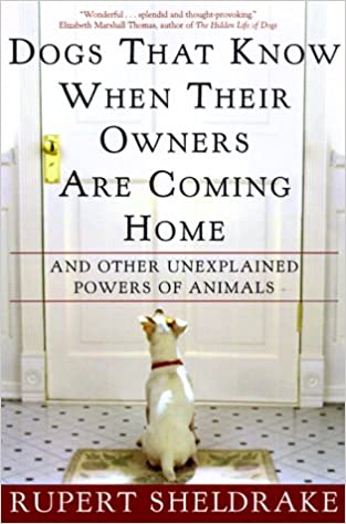 Dogs That Know When Their Owners Are Coming Home (RARE BOOKS)