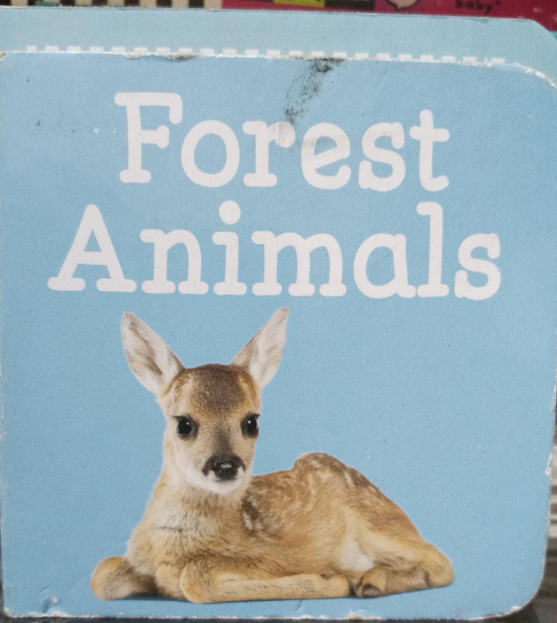 Forest Animal [Hardcover]