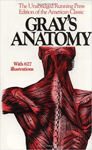 GRAY'S ANATOMY