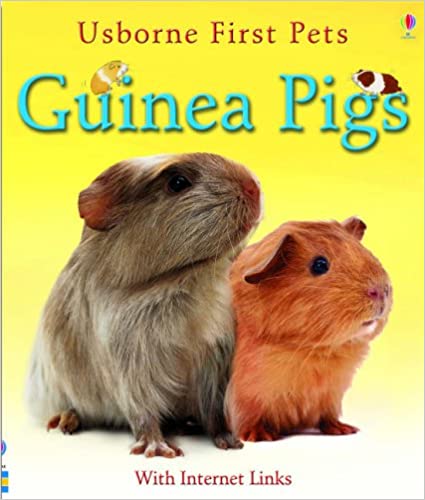 The Magical Zoo (Picture Flats)