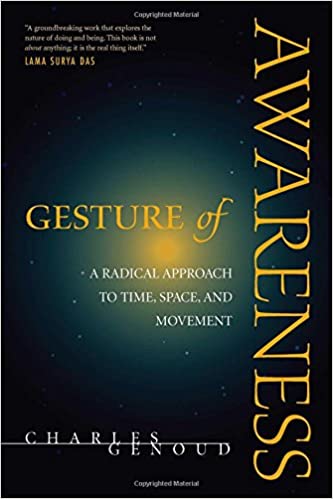 Gesture of Awareness (RARE BOOKS)