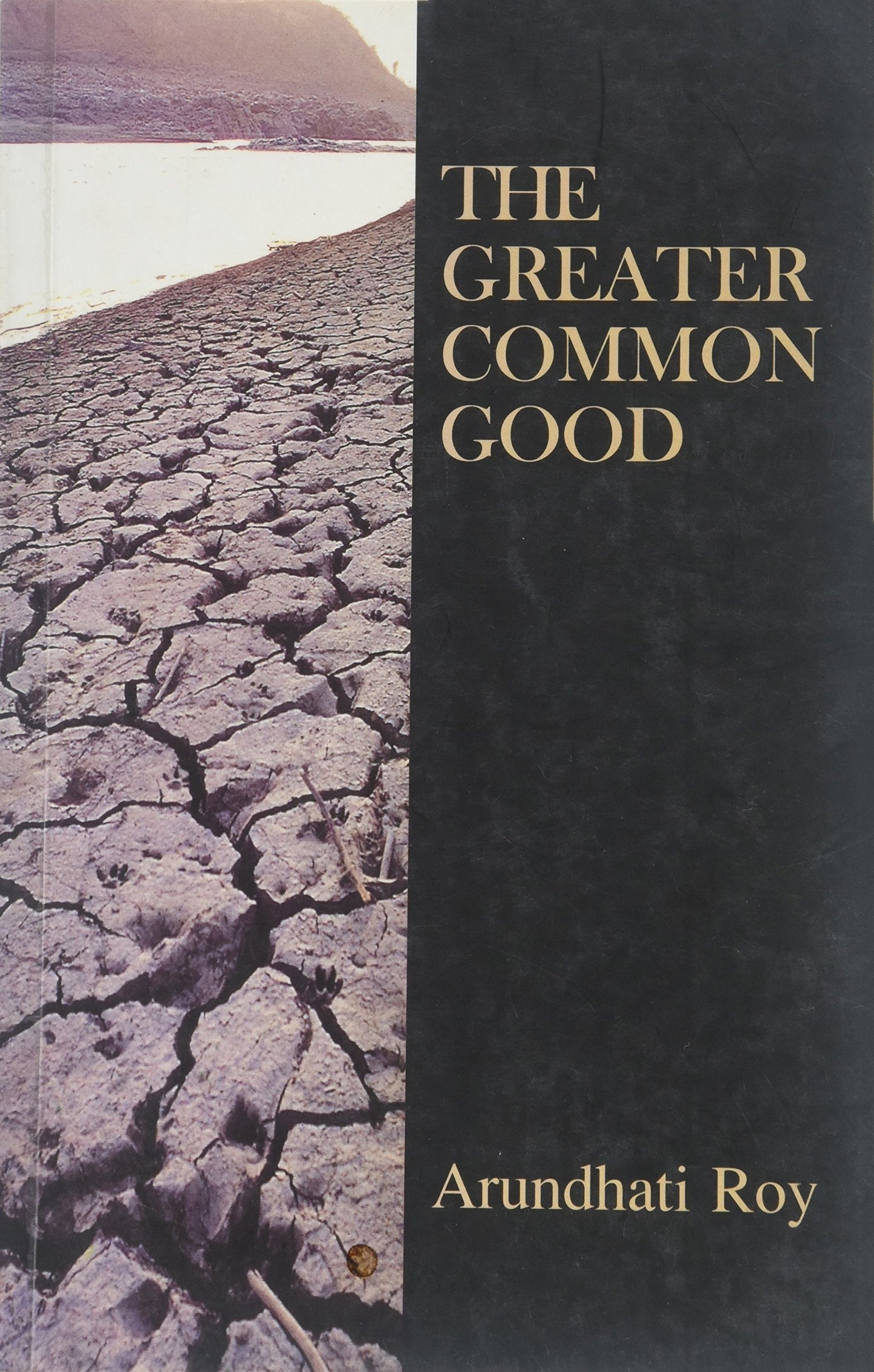 The Greater Common Good by Arundhati Roy