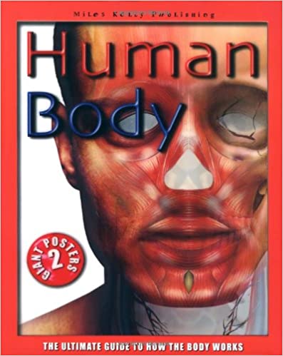 Human Body Poster Book Ultimate Guide to How the Body Works