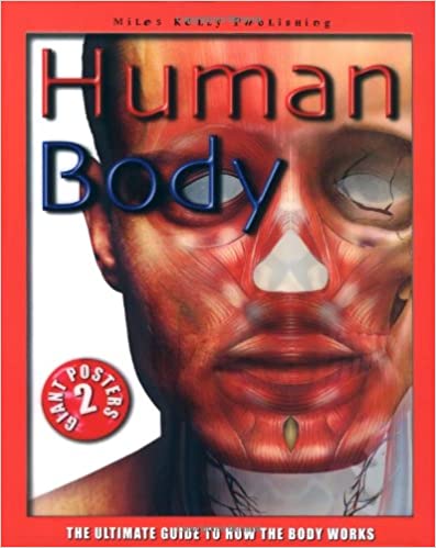 Human Body Poster Book: Ultimate Guide to How the Body Works (Spiral-bound) [HARDCOVER] (RARE BOOKS)