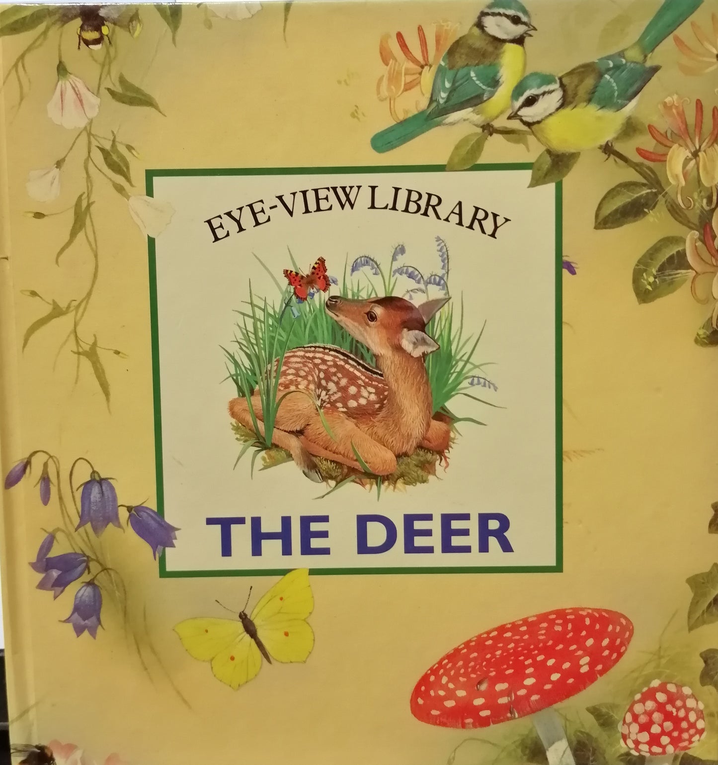 Eye-View Library The Deer [HARDCOVER]