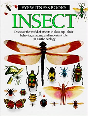 Insect [Hardcover]