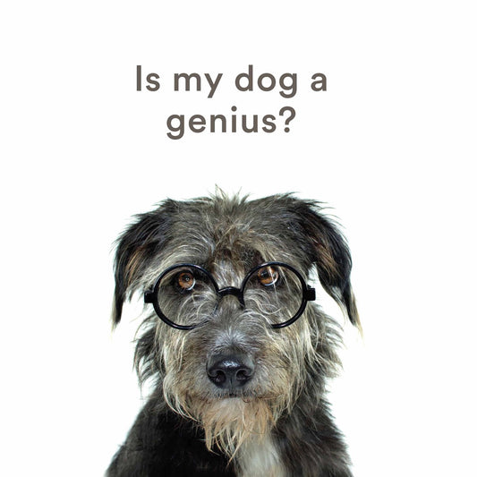 Is My Dog a Genius [Hardcover] (RARE BOOKS)