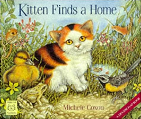 Kitten Finds a Home:  [Lift-the-flap]