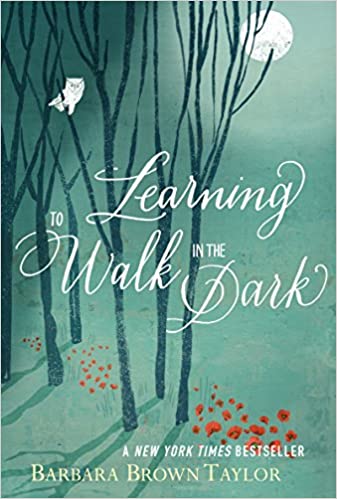 Learning to Walk in the Dark [HARDCOVER] (RARE BOOKS)
