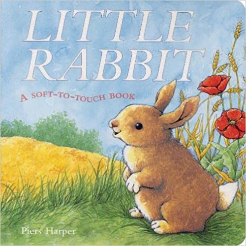 Little Rabbit (A Soft-To Touch Book) [HARDCOVER]
