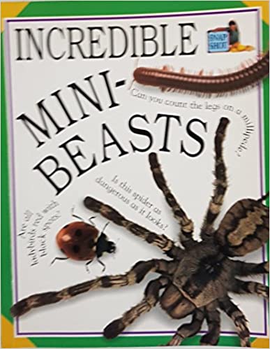 INCREDIBLE MINI BEASTS