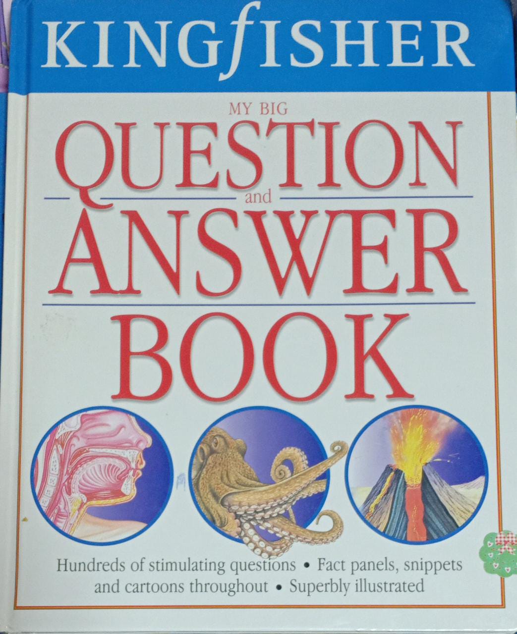My Big Question and Answer Book [Hardcover]
