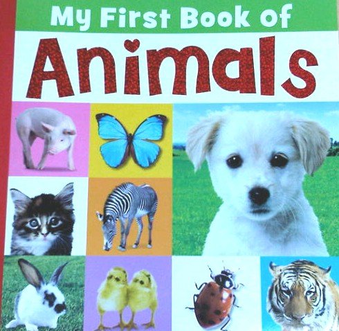 My First Book Of Animals