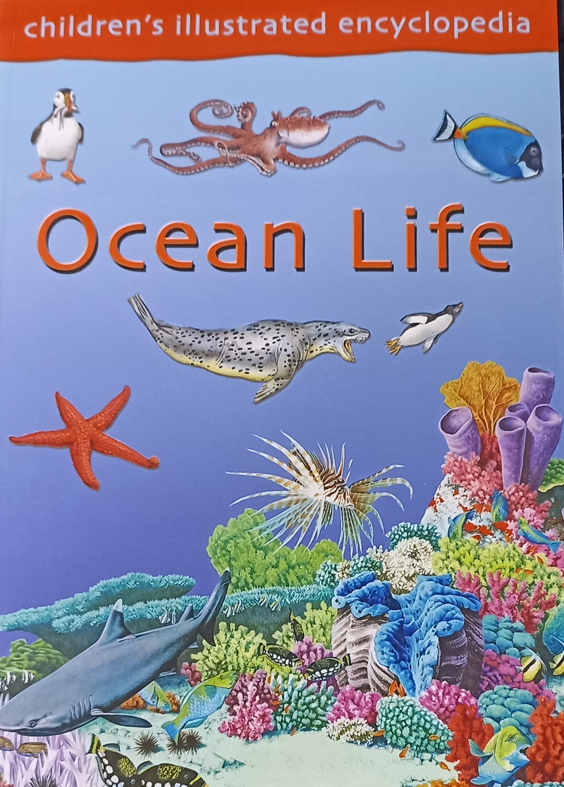Ocean Life children's Illustrated Encyclopedia