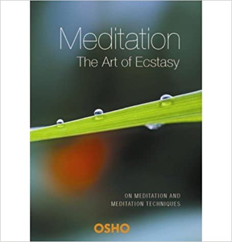 Meditation the Art of Ecstacy on Meditation and Meditation Techniques {HARDCOVER}
