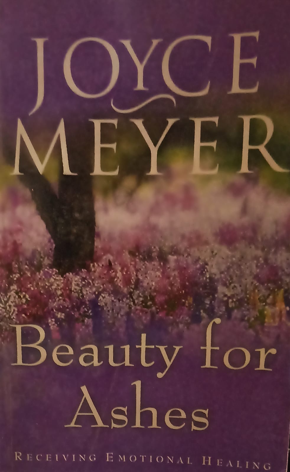 Beauty for Ashes: Receiving Emotional Healing