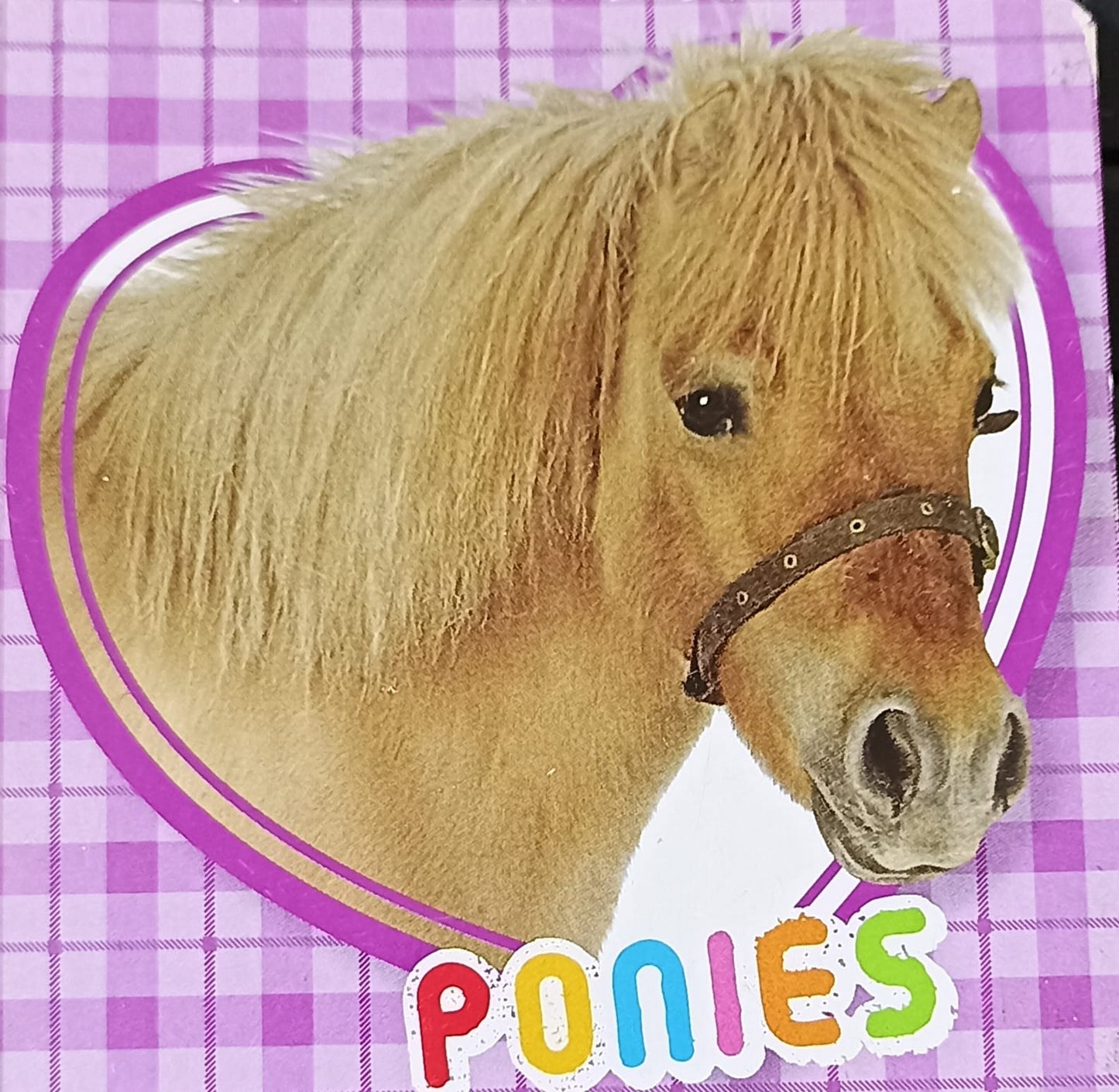 PONIES (Palm size boardbook)