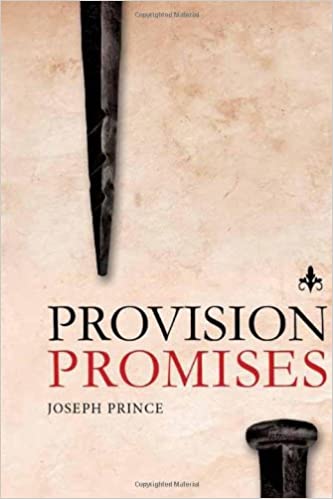 Provision Promises [Hardcover] (RARE BOOKS)