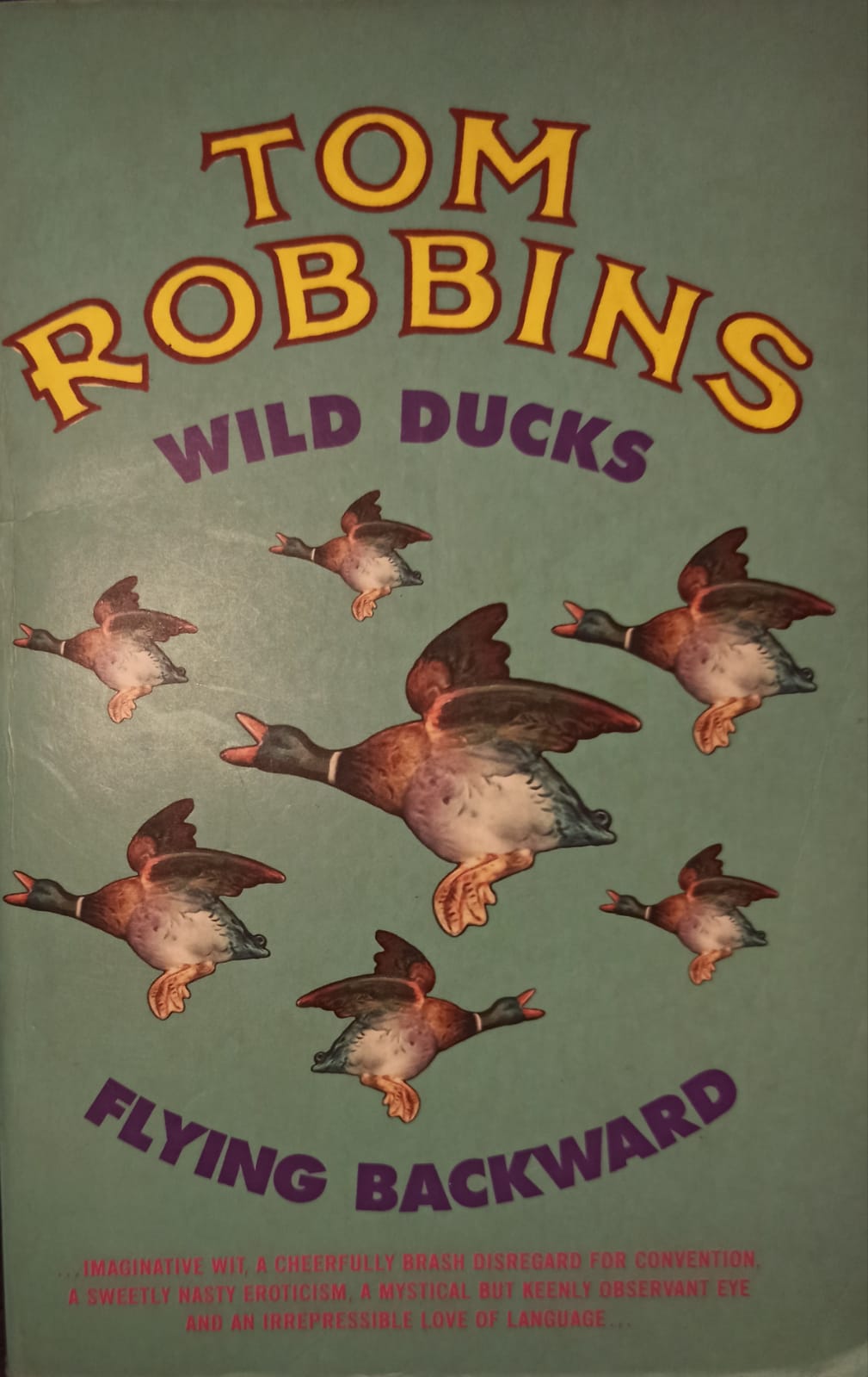 Wild Ducks Flying Backward