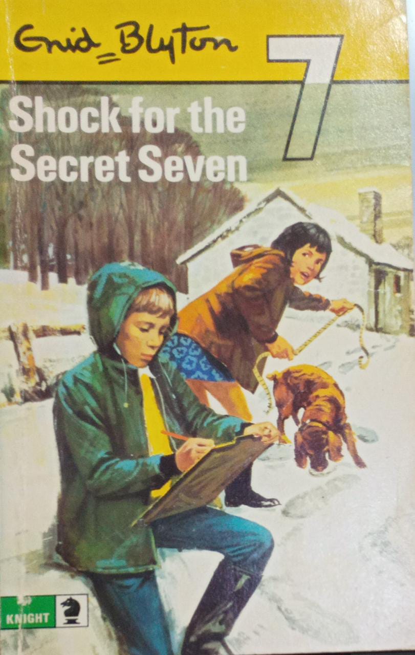 Shock for the Secret Seven