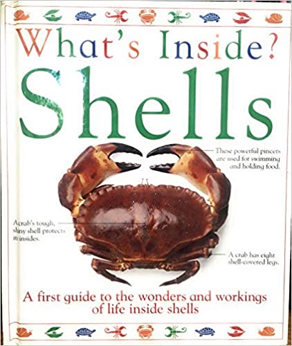 What's Inside ? Shells [HARDBOOK]