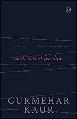 Small Acts of Freedom [Paperback] (RARE BOOKS)