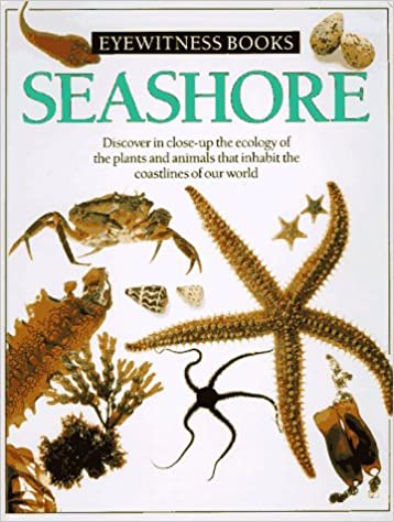 Seashore [Hardcover]