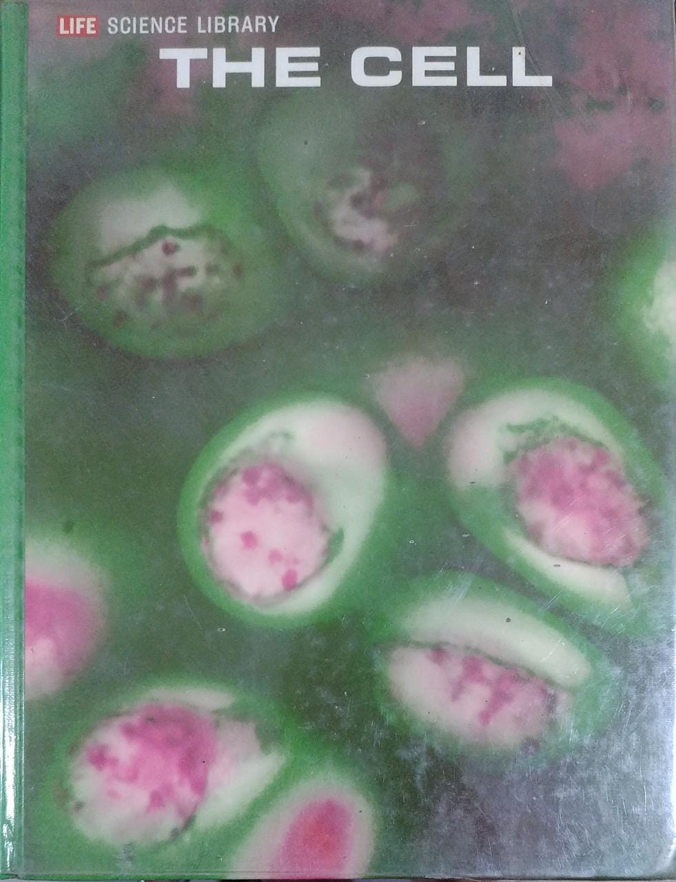 The Cell [HARDCOVER] (RARE BOOKS)