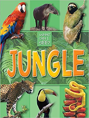 What Can I See?: Jungle