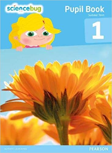 Science Bug Pupil Book Year 1