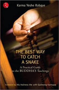 The Best Way to Catch a Snake: A Practical Guide to the Buddha's Teachings (RARE BOOKS)