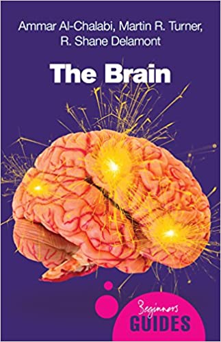 The Brain: A Beginner's Guide