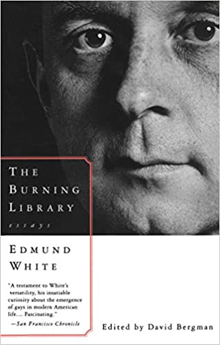 The Burning Library: Essays (Vintage International) (RARE BOOKS)