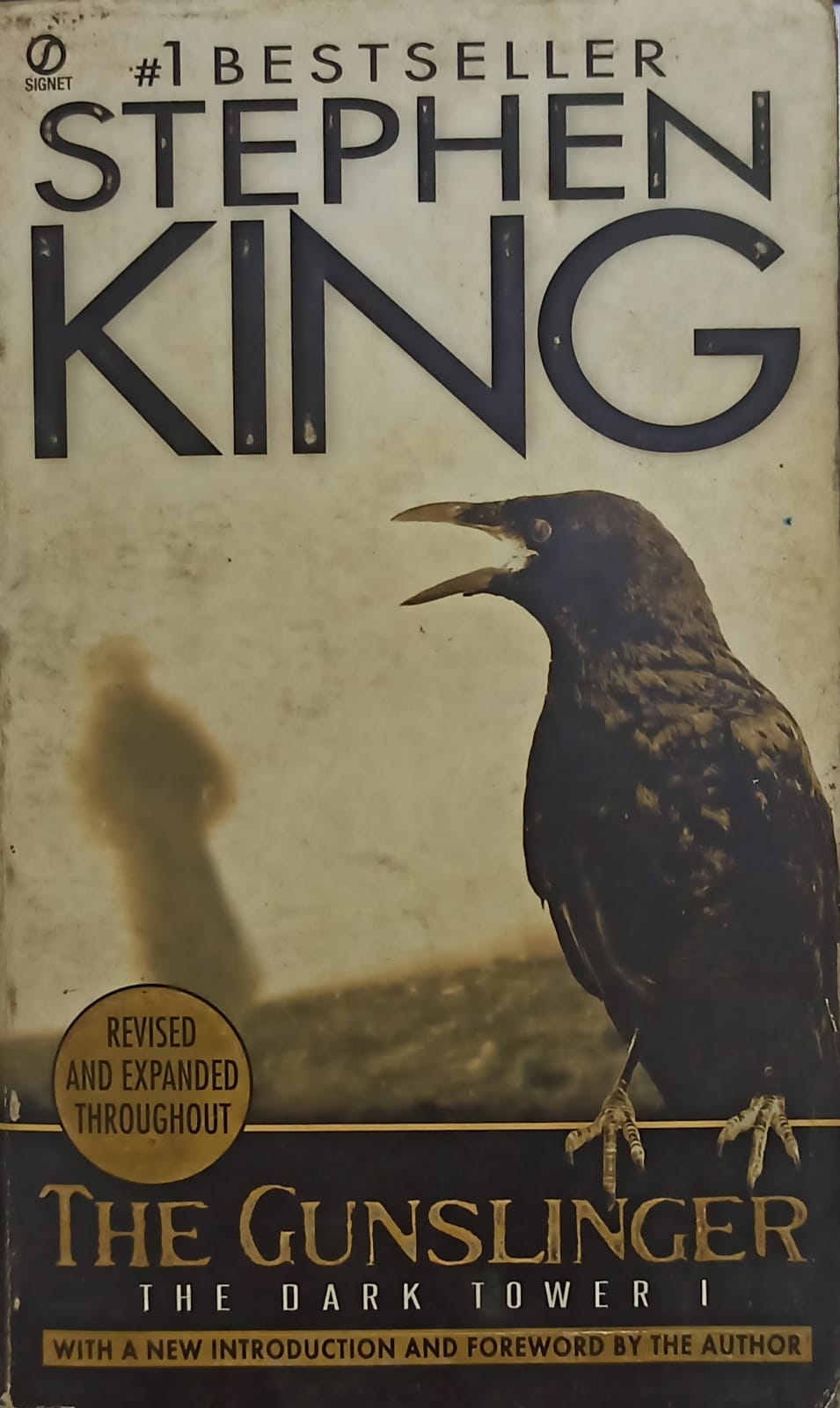 The Gunslinger by, Stephen King