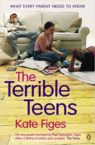 The Terrible Teens (RARE BOOKS)