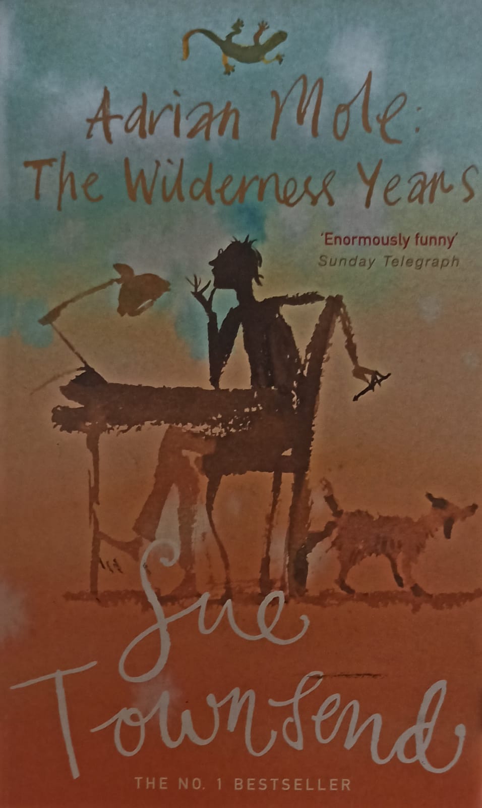 The Wildermess Years