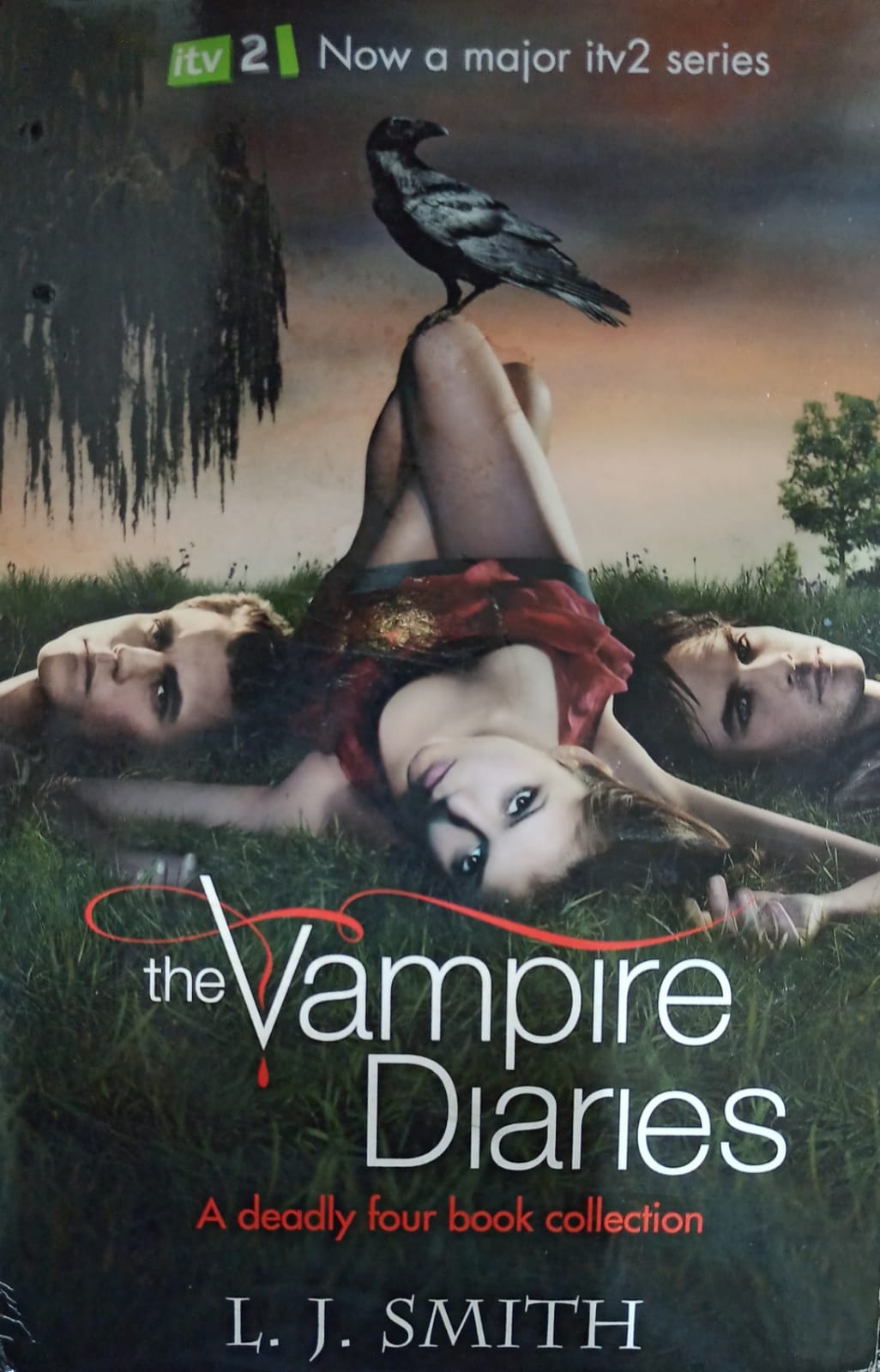 Vampire Diaries: The First Bite 4-Book Collection: The Awakening, The Struggle, The Fury, Dark Reunion (Book Set 4)