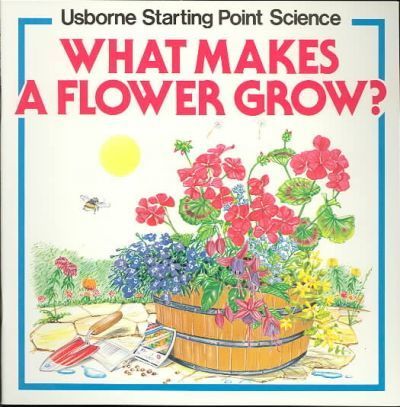 What Makes A Flower Grow?