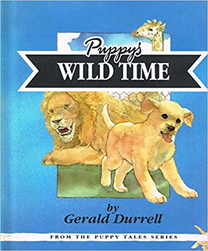 WILD TIME [Hardcover]