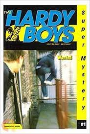Wanted (Volume 1) (Hardy Boys Undercover Brothers: Super Mystery)