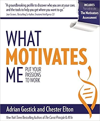 What Motivates Me: Put Your Passions to Work (HARD COVER) (RARE BOOKS)