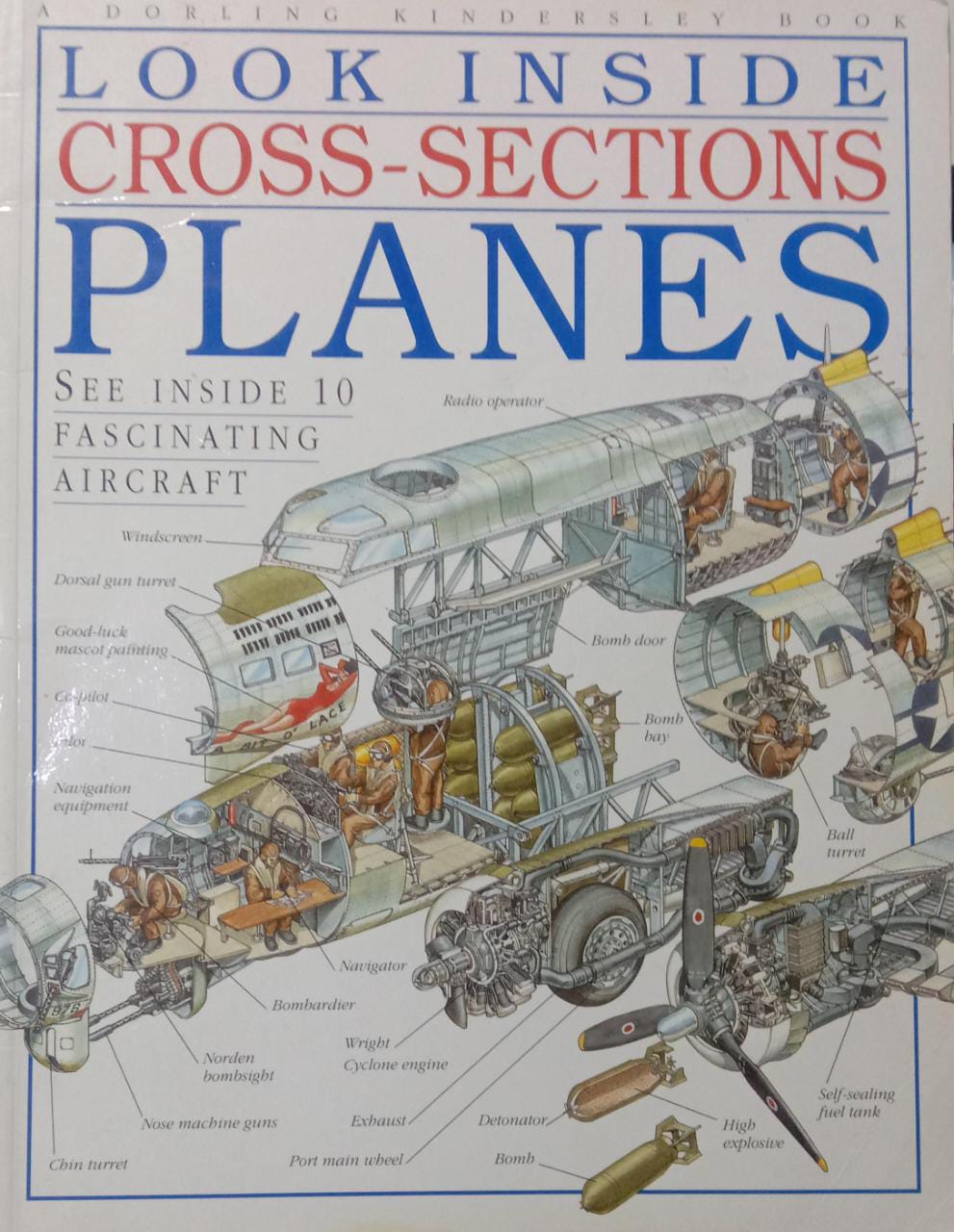 look inside cross sections planes