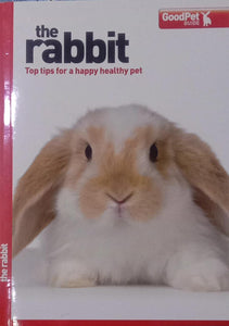 The rabbit
